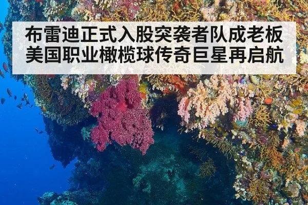 布雷迪正式入股突袭者队成老板美国职业橄榄球传奇巨星再启航